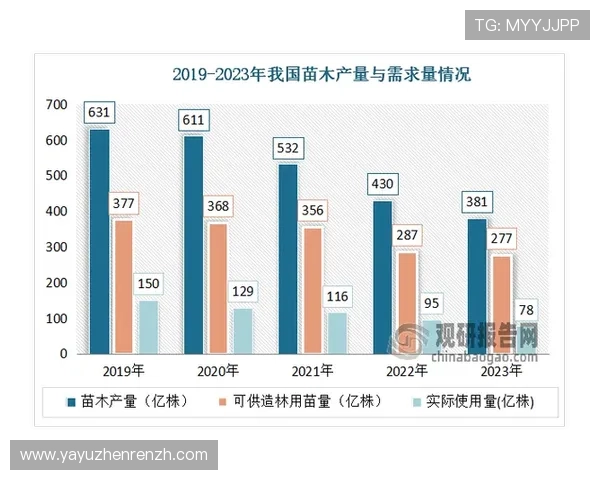 奔驰宝马在中国市场的销售策略与未来发展趋势全面解读，助你把握投资良机